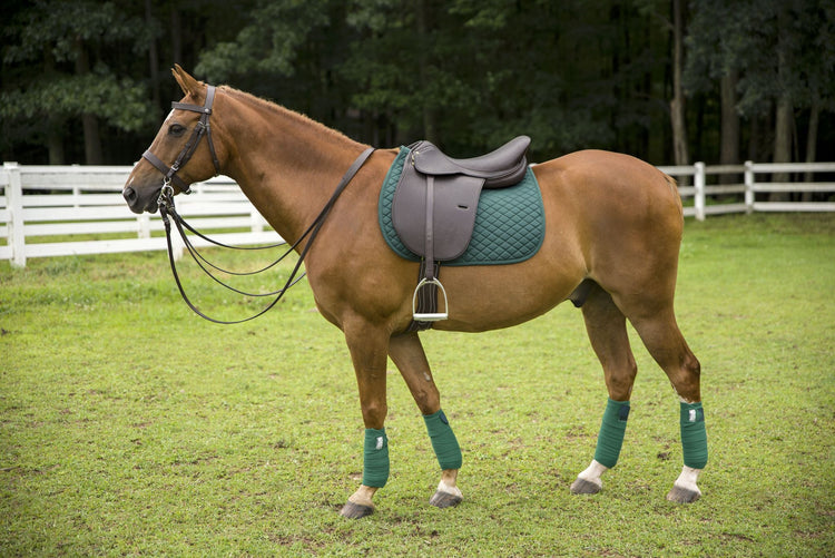 HENRI DE RIVEL POLO SADDLE- HAVANA - Breeches.com