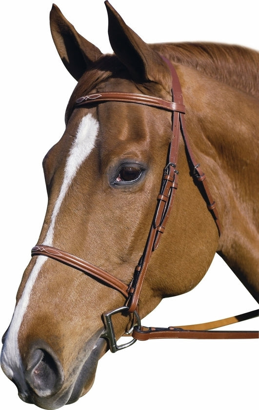 Henri de Rivel Pro Fancy Raised Bridle With Laced Reins - Breeches.com