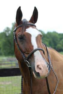 Henri de Rivel Pro Fancy Raised Bridle With Laced Reins - Breeches.com