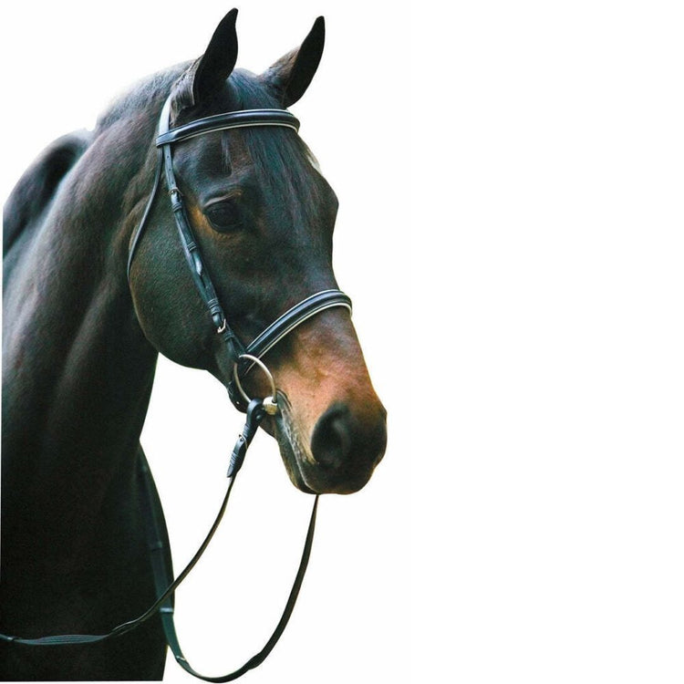 Henri de Rivel Pro Padded Dressage Bridle with Web Reins